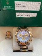 劳力士 Rolex 116503NG 黑贝母 18年购入 全套全长