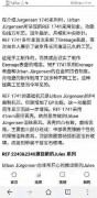 Urban Jurgensen独立制表  42MM铂金外壳，88小时长动力机芯